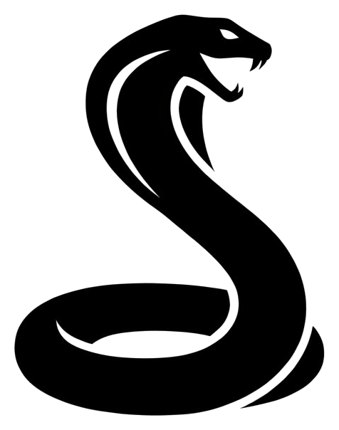 Vasuki